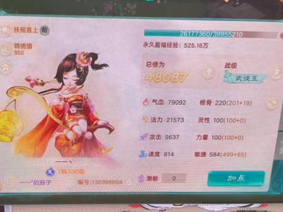 大话西游【道具服1转】自由交易服蟠桃园