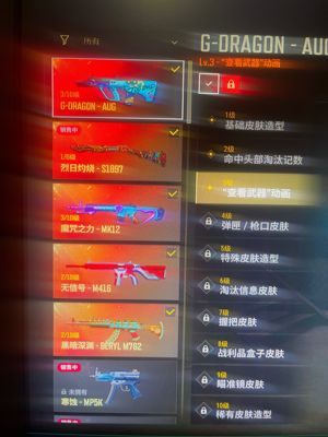 绝地求生（PUBG）保时捷911 各类皮肤