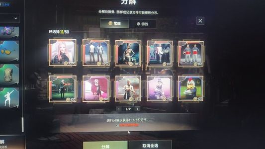 绝地求生（PUBG）女团金面900票改名卡
