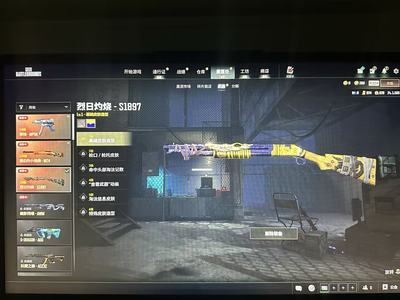 绝地求生（PUBG）三成长800黑货票券