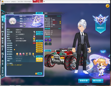 QQ飞车【1级】L-永久雷诺29双4-空军配件