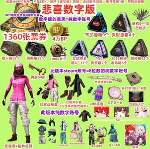 绝地求生（PUBG）PUBG黑货票工坊箱子悲喜套号