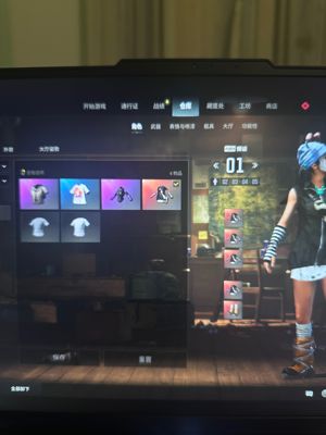 绝地求生（PUBG）女团保时捷车皮车漆发光手臂