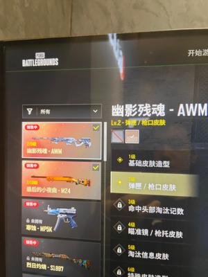 绝地求生（PUBG）双成长皮肤一个异色 本赛季通行