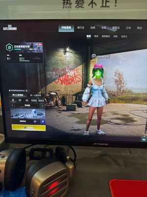 绝地求生（PUBG）ACE原皮加异色