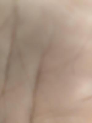 魔兽世界乌龟服账号注意注意