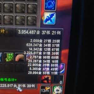 魔兽世界10年老号玩不动了。