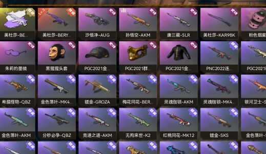 绝地求生（PUBG）3级美杜莎 白异色 粉烟