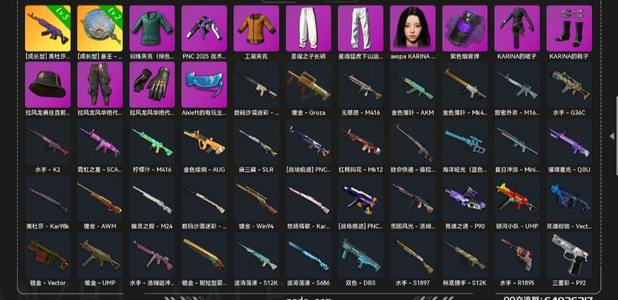 绝地求生（PUBG）生存等级30 名誉等级2 成长武器2 究极 载具 枪皮五级美杜莎二级锅 加柳智敏