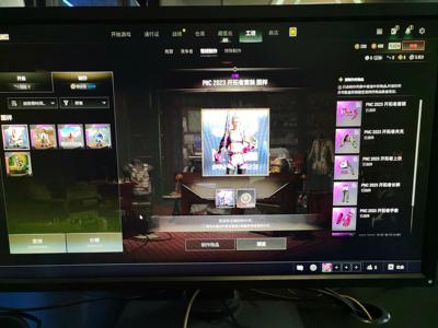 绝地求生（PUBG）美杜莎762，粉色电池背包