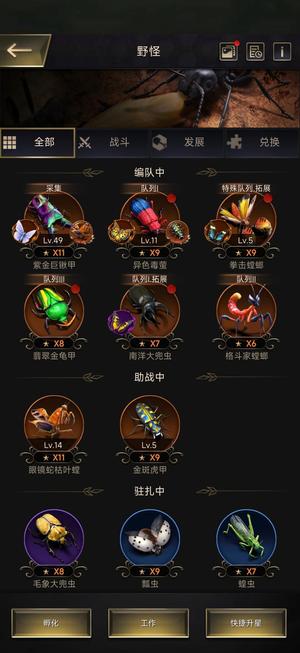 小小蚁国805极品盾号