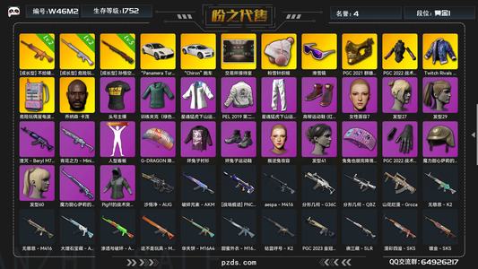 绝地求生（PUBG）悟空m24 南瓜M4  双跑车