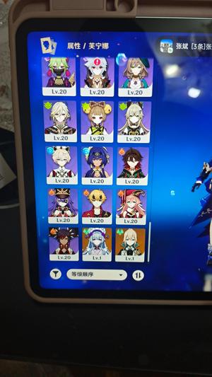 原神【38黄】雷神6命号