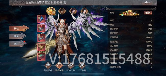 传奇天下18区三阶特戒套运九带二阶定身