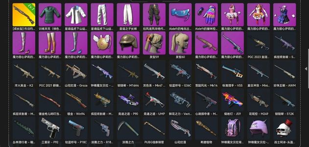 绝地求生（PUBG）生存等级70 名誉等级2 成长武器1 究极0 载具6 枪皮37小号便宜出