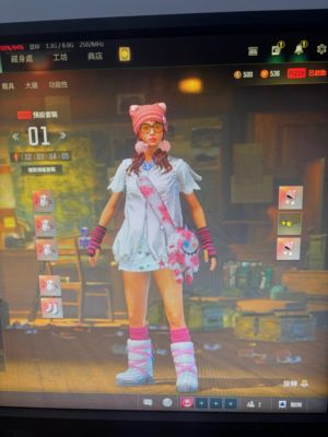 绝地求生（PUBG）生存等级2304 名誉等级满级 成长武器2 究极1 载具3 枪皮满级美杜莎 7级齿轮大炮 
