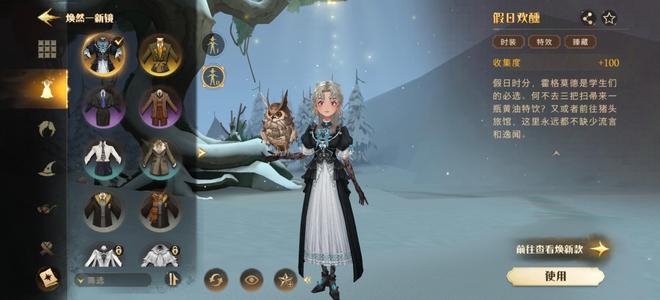 哈利波特：魔法觉醒【100级】书等100级