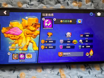 荒野乱斗荒野乱斗暗区突围小号卖