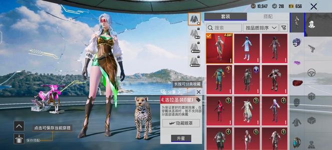 PUBG M（外服）成品号600UC两只宠物可小刀