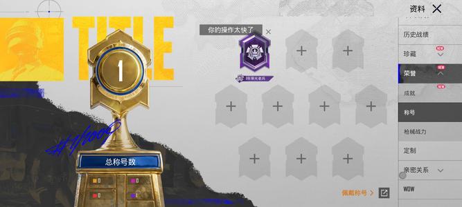 PUBG M（外服）全套龙吟国度大零件一个印记一个