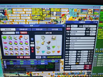 梦幻西游（端游）齐天大圣109力五庄