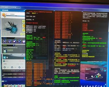 艾尔之光99级领导者狂信徒，改版增强