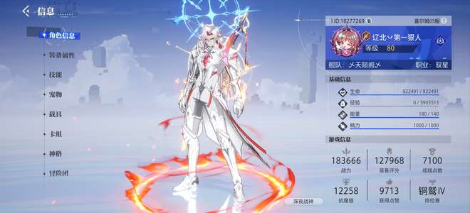 晶核23-231载具51无华为特权