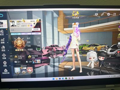 荒野行动PC版自玩号老联动枪械衣服