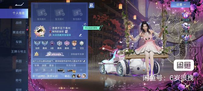 王牌竞速王牌竞速成品号 有圣骑士车姬