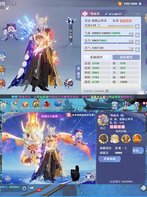 梦幻新诛仙高速合欢带红瑰宝武