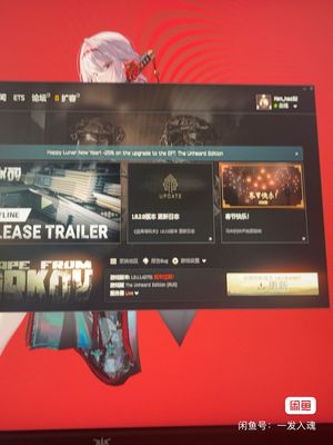 逃离塔科夫塔科夫俄蓝，退游出售