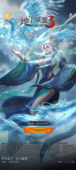 地下城堡3：魂之诗300级半装备刮痧队外加4sp