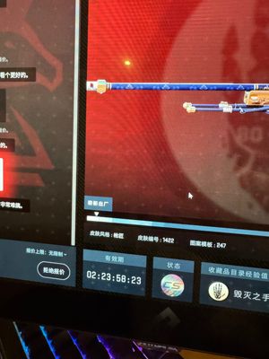 CSGO终端机awp后翼弃兵崭新