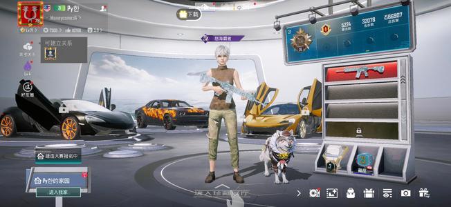 PUBG M（外服）七辆跑车五战神号满冰霜