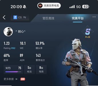 CSGO砖s 全部功能正常 便宜出了