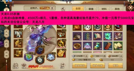 天龙八部手游（腾讯版）满时装满重楼神玉满6带7双减