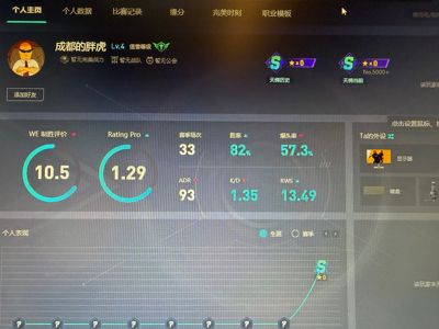CSGO完美s号价格公道