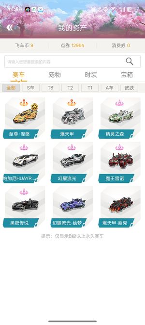 QQ飞车双s车永久