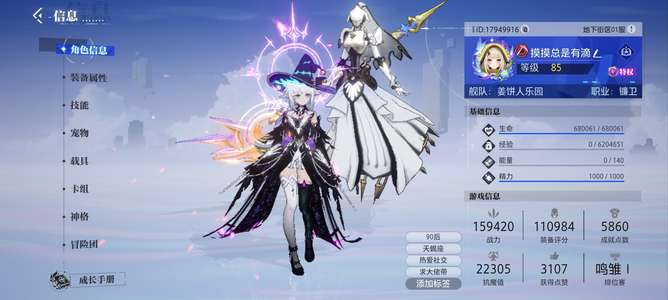 晶核【镰卫战力159000】细节光环奶妈