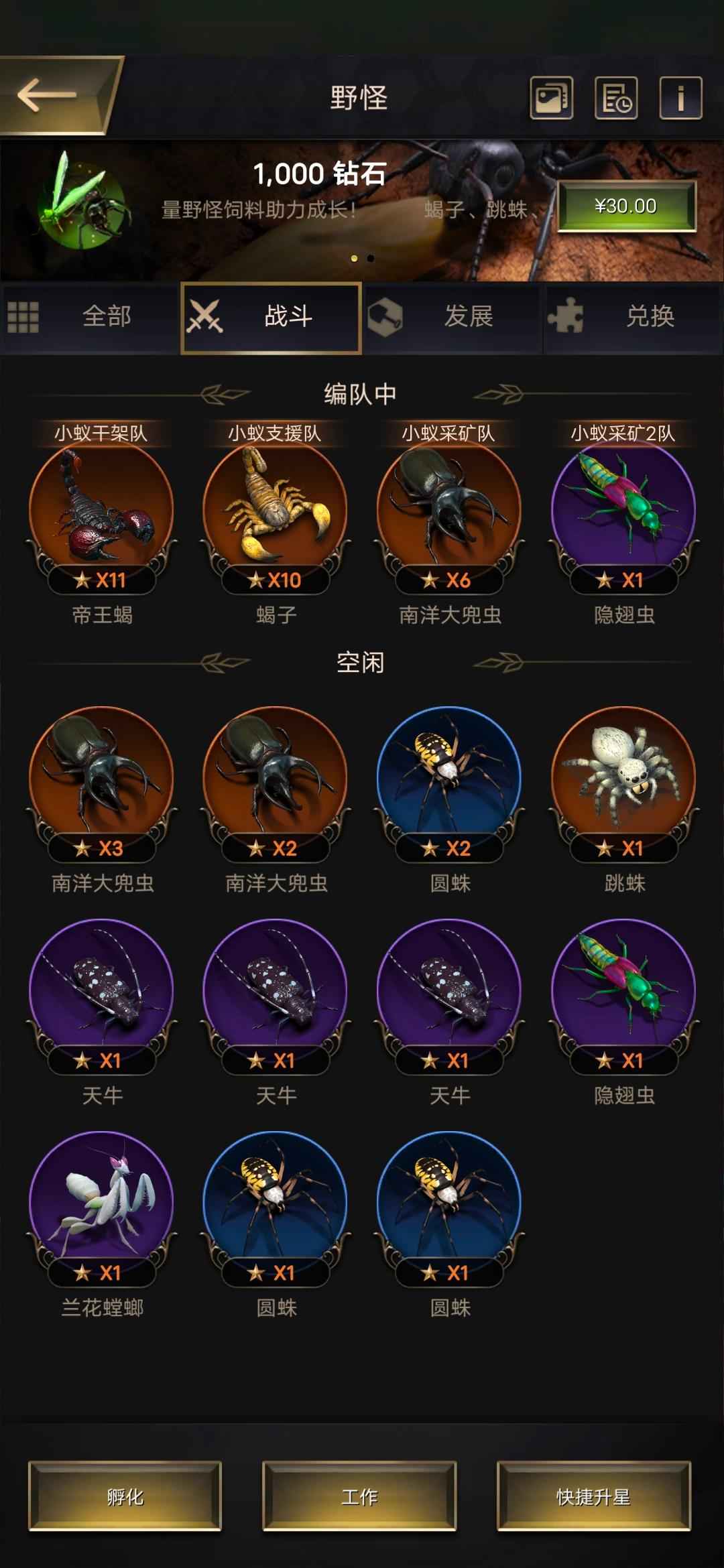 小小蚁国【25级】11级帝王蟹10级蝎子
