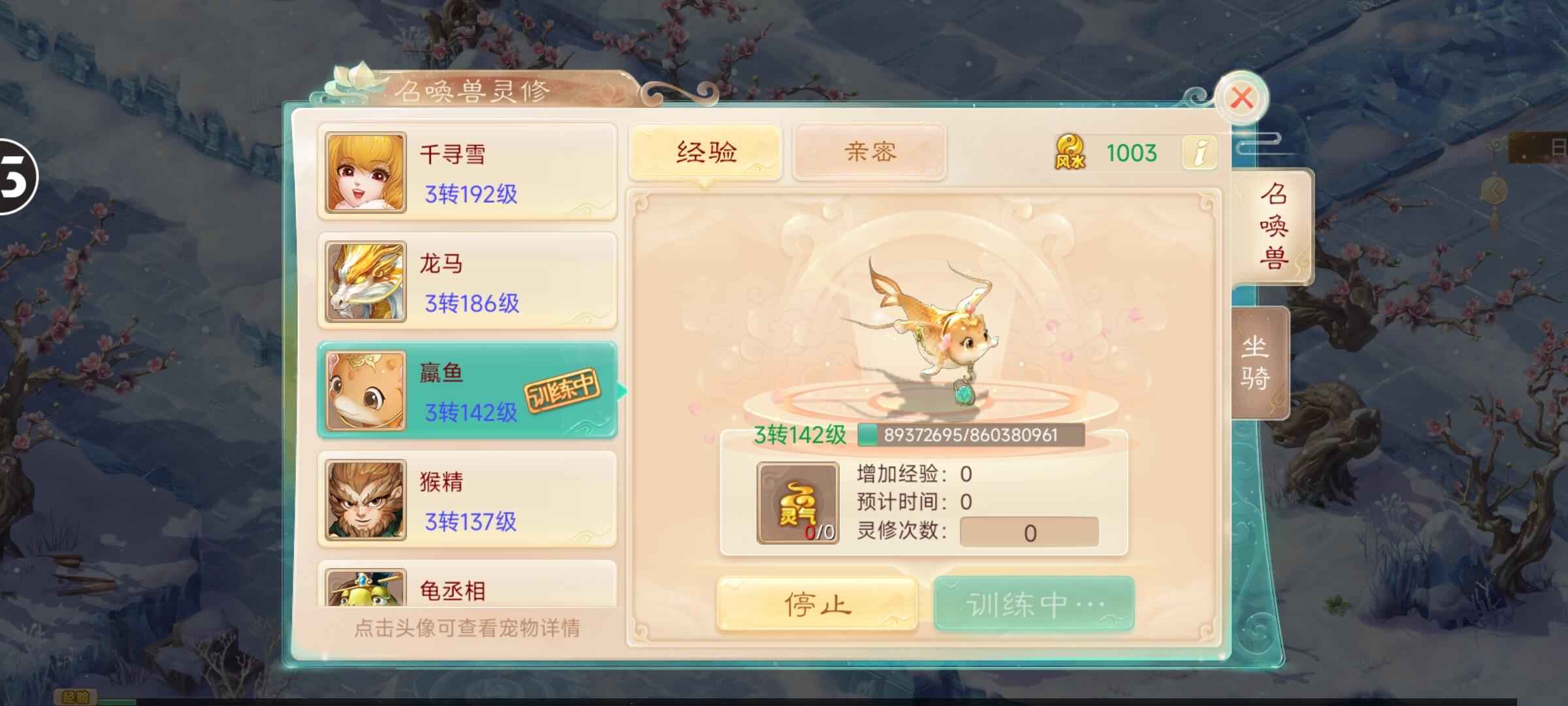 大话西游【182级女龙族】满灵修家园号