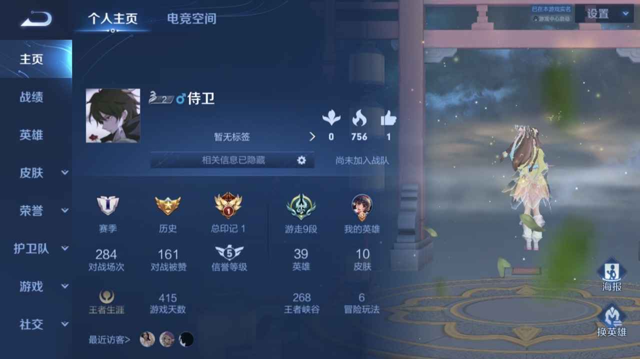 王者荣耀【苹果版】【39英雄10皮肤】看图小号安全带皮肤