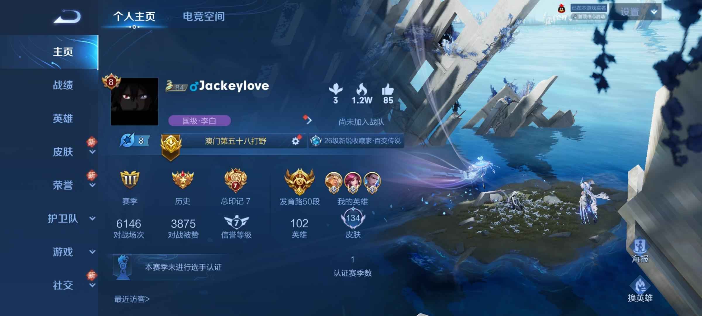 王者荣耀【999英雄165皮肤】5国标v8木兰典藏热门传说皮肤