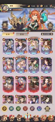【200级】极限袁绍皮肤贾诩皮肤1
