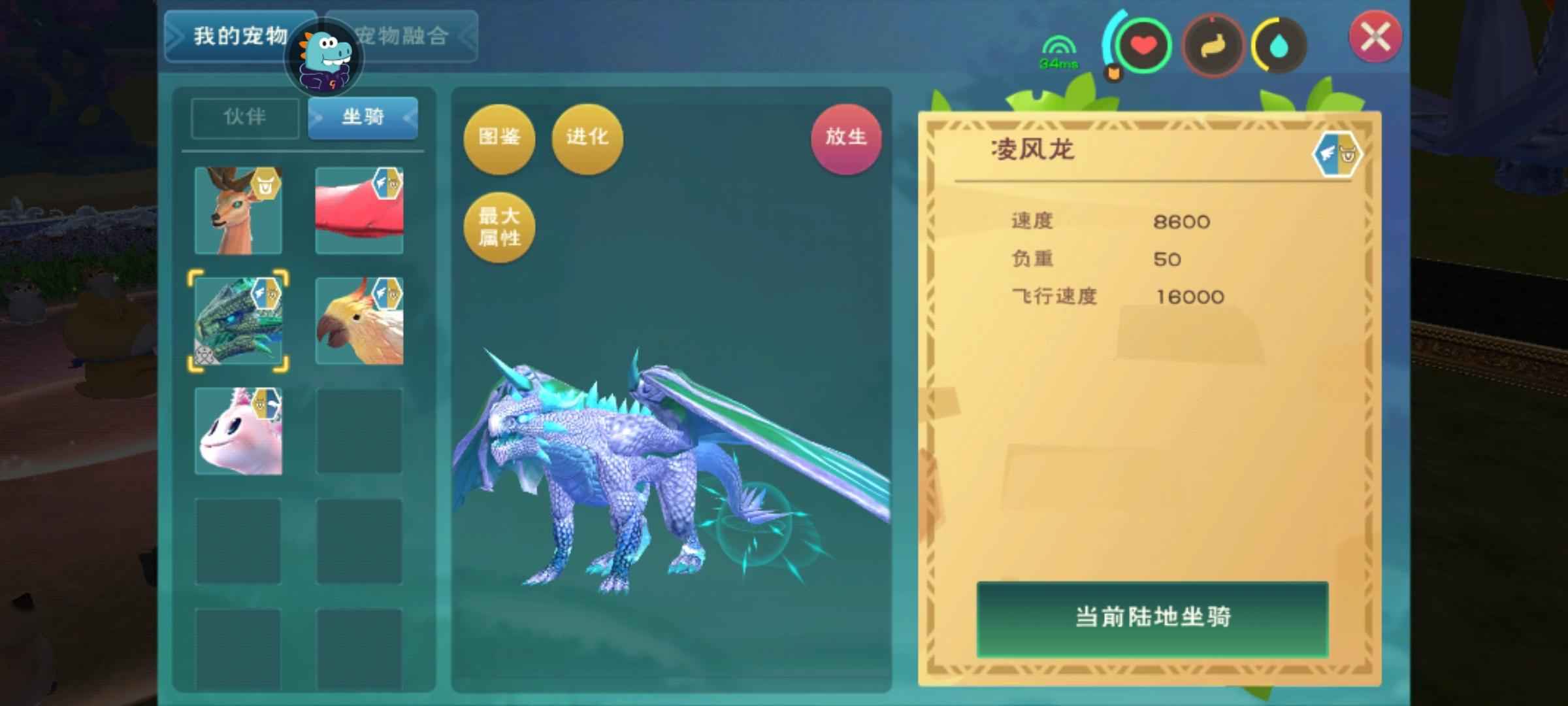 创造与魔法707绿色服风龙空号