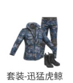 和平精英【担保】套装-迅猛虎鲸【Q.V区】永久