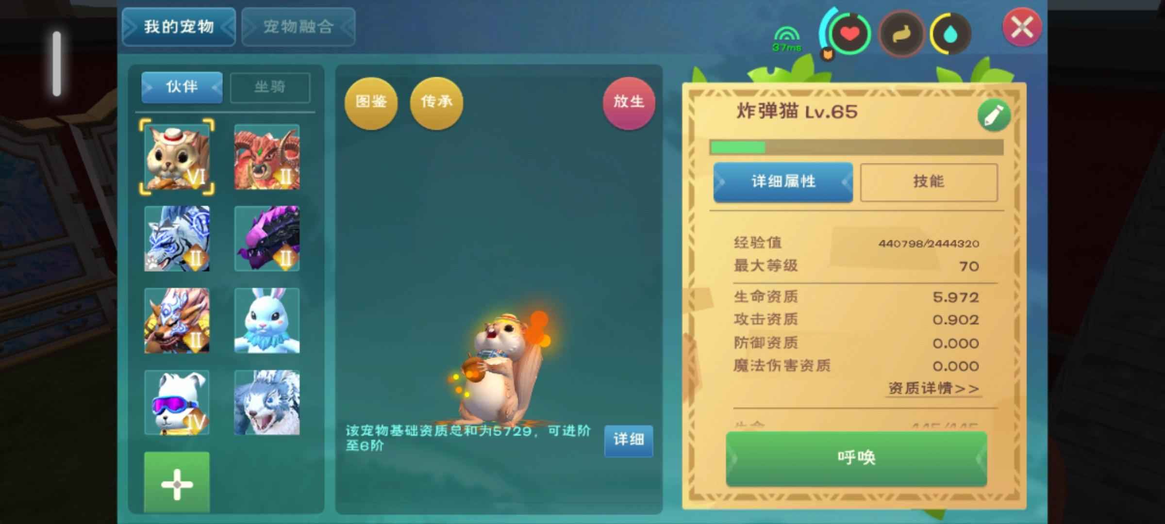 创造与魔法便宜出飞龙号宠物多另区有法拉利