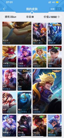 【109英雄233皮肤】王者荣耀账号4