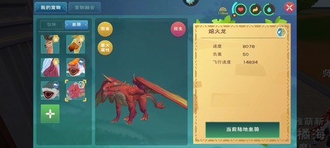 高速飞龙虎皮鲨六宠装备转移号1