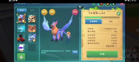 高速飞龙虎皮鲨六宠装备转移号6